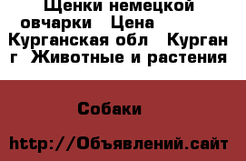 Щенки немецкой овчарки › Цена ­ 7 000 - Курганская обл., Курган г. Животные и растения » Собаки   